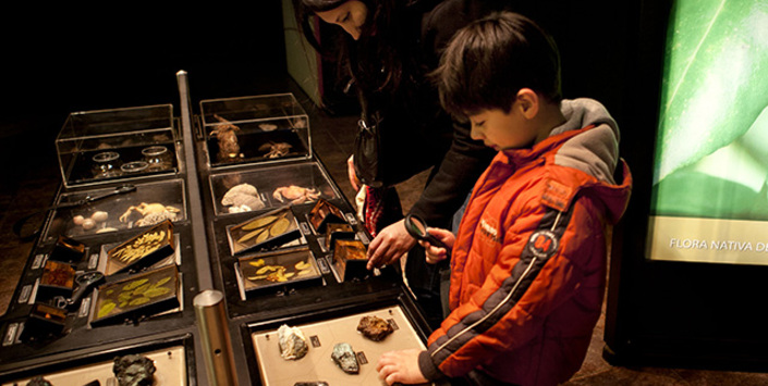 Museo de Historia Natural de Concepci�n.