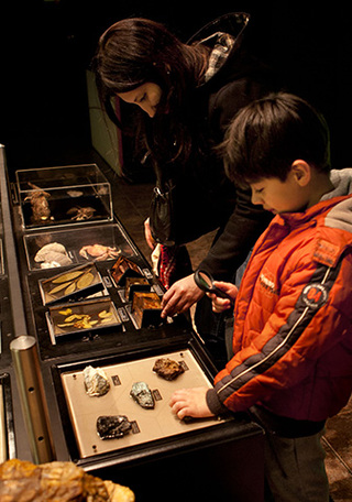 Museo de Historia Natural de Concepci�n.