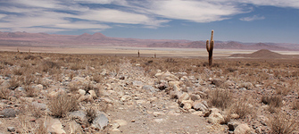 imagen imagen_portada.jpg