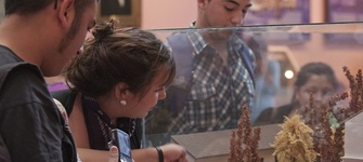 imagen imagen_portada.jpg