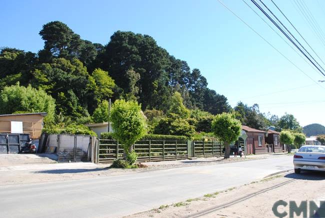 Imagen del monumento Cerro Colo Colo