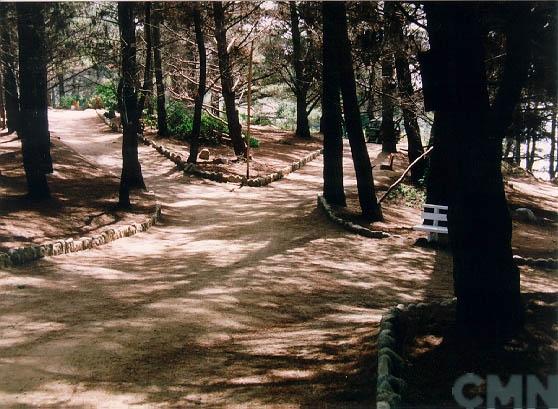 Imagen del monumento Sector Canelo - Canelillo