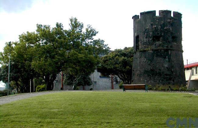 Imagen del monumento Torreón Picarte