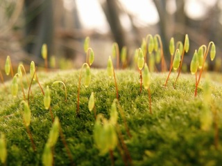 imagen imagen_portada.jpg