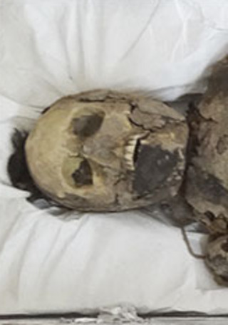 Adulto momificado 1