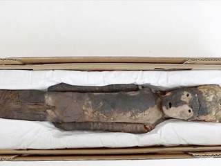 P�rvulo momificado