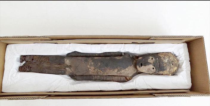 P�rvulo momificado