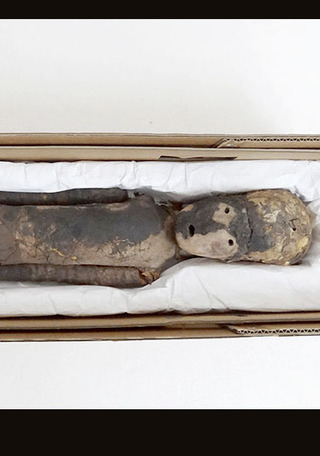 P�rvulo momificado