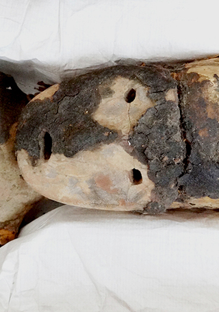 P�rvulo momificado