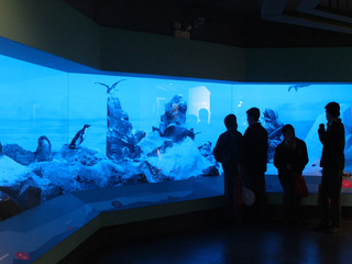 Sala de la muestra "Chile Biogeogr�fico".
