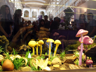 T�tulo entre 66 y 75 caracteres (sin punto final y con may�sculas y min�sculas)