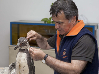 imagen imagen_portada.jpg