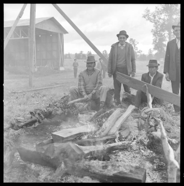 Chile Sul (Sur de Chile) Osorno