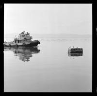 [Puerto y muelle] : Lota y Talcahuano