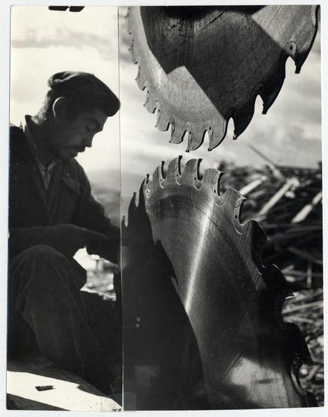 Aserradero en Aysén