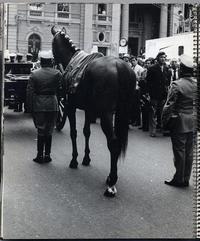 [Protocolo de las distintas ramas de las Fuerzas Armadas para recibir al Presidente electo Salvador Allende en el Congreso Nacional en la ciudad de Santiago ]
