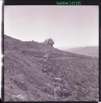 [Camino hacia el mineral de hierro "El Algarrobo"]