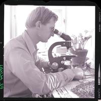 [Científico trabajando en el laboratorio del Campo Experimental Iansa]