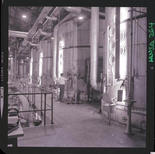 [Iansa (Chile) : Planta Cocharcas]