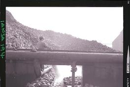 [Iansa (Chile) : Planta Cocharcas]