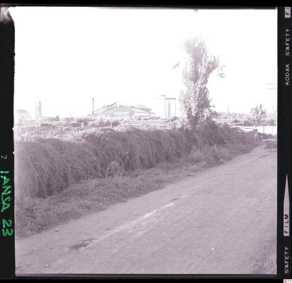 [Iansa (Chile) : Planta Cocharcas]