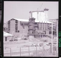 Iansa (Chile) : Planta Curicó