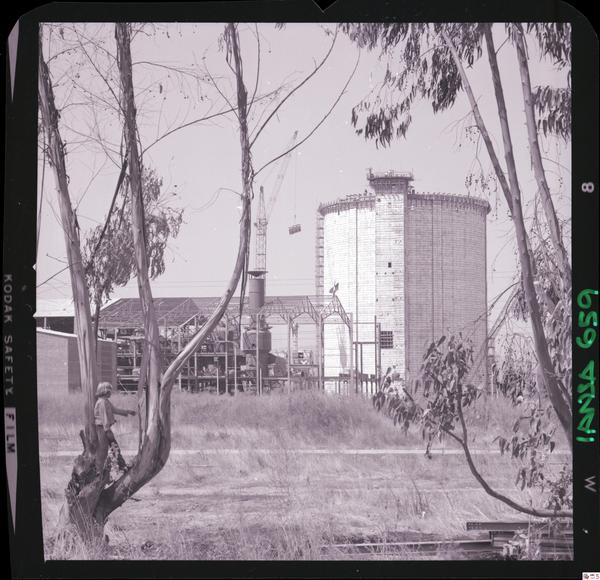 Iansa (Chile) : Planta Curicó