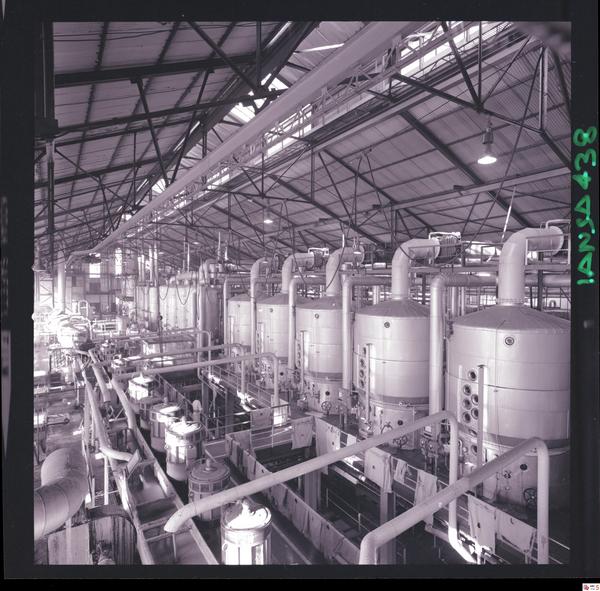 [Iansa (Chile) : Planta Llanquihue]