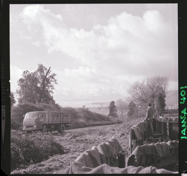 Iansa (Chile) : Planta Rapaco