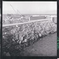 [Vista del puerto de embarque para los minerales del yacimiento "El Algarrobo"]