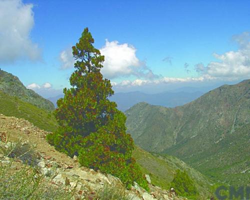 Imagen del monumento Serranía El Ciprés