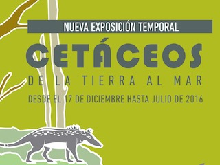 imagen imagen_portada.jpg