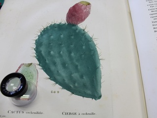 imagen imagen_portada.jpg