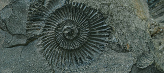 imagen imagen_portada.jpg