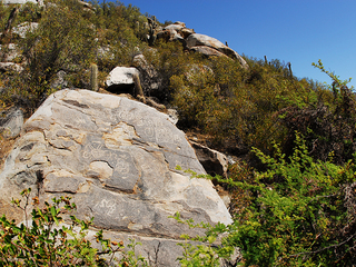Valle de Chalinga, regi�n de Coquimbo