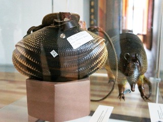 Convenio Museo y SAG