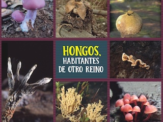 Charla Magistral Fundaci�n Fungi