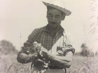 Fragmento de fotograf�a de Armindo Cardoso, Biblioteca Nacional.