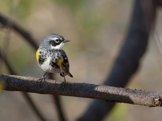 imagen imagen_portada.jpg