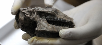 imagen imagen_portada.jpg