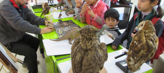 imagen imagen_portada.jpg