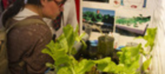 imagen imagen_portada.jpg