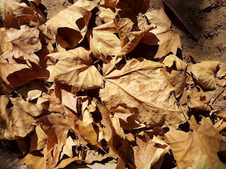 imagen imagen_portada.jpg