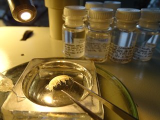 imagen imagen_portada.jpg