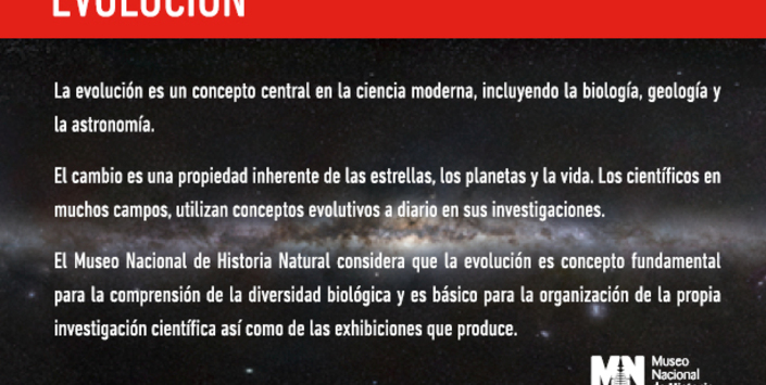 imagen imagen_portada.jpg