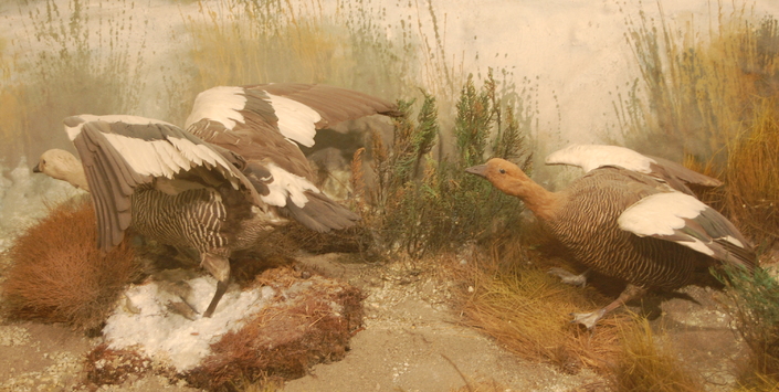 imagen imagen_portada.jpg