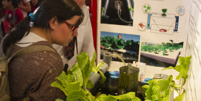 Imagen de los proyectos de la Feria