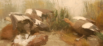 imagen imagen_portada.jpg