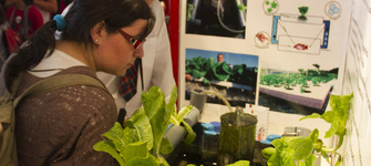 Imagen de los proyectos de la Feria