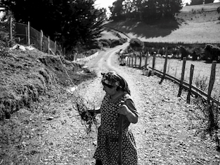 Detalle, fotograf�a de Luis Sergio